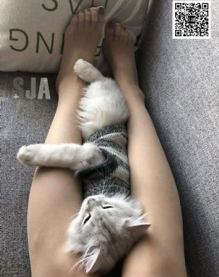 电车侵犯肉肉动漫在线播放_4K高清视频播放